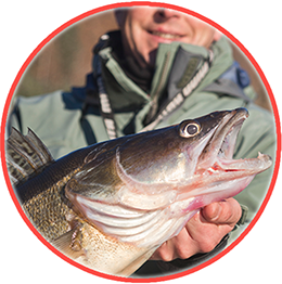 stage-de-peche-carnassiers